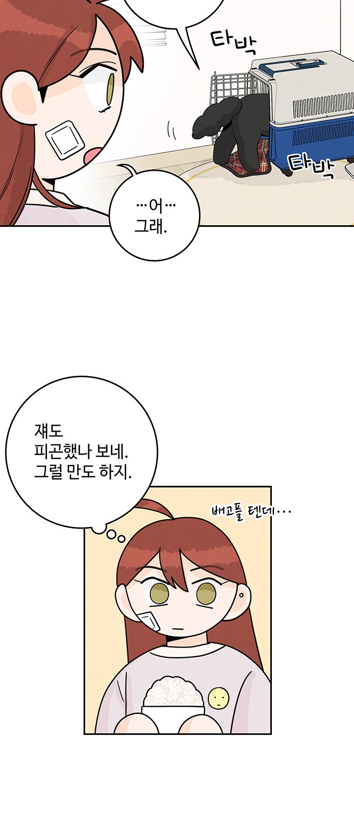 46 페이지