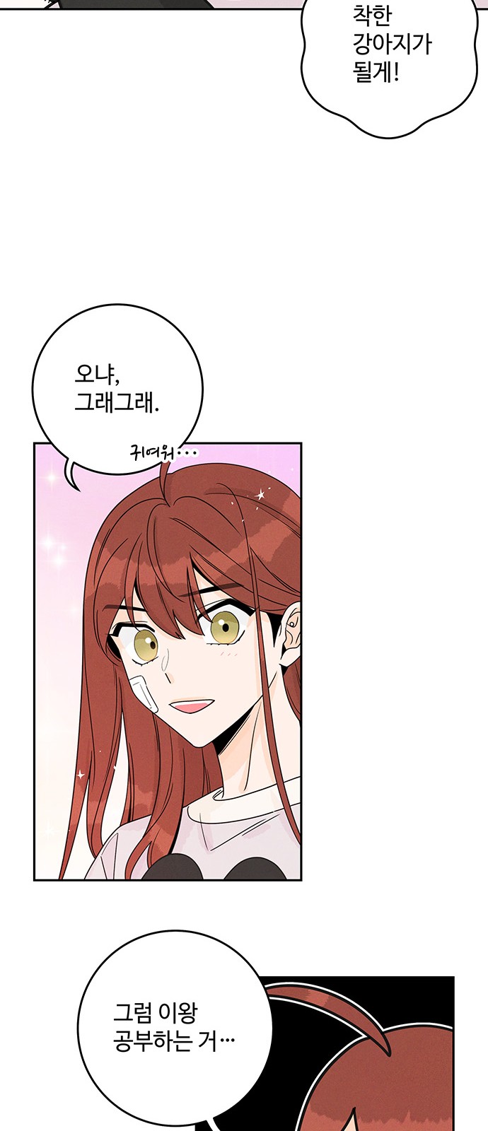 43 페이지