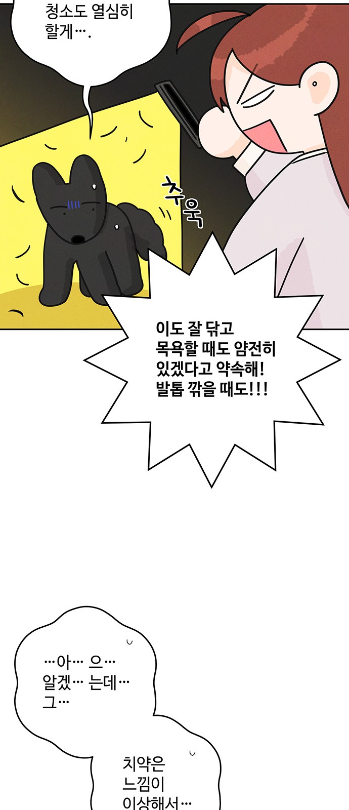 46 페이지
