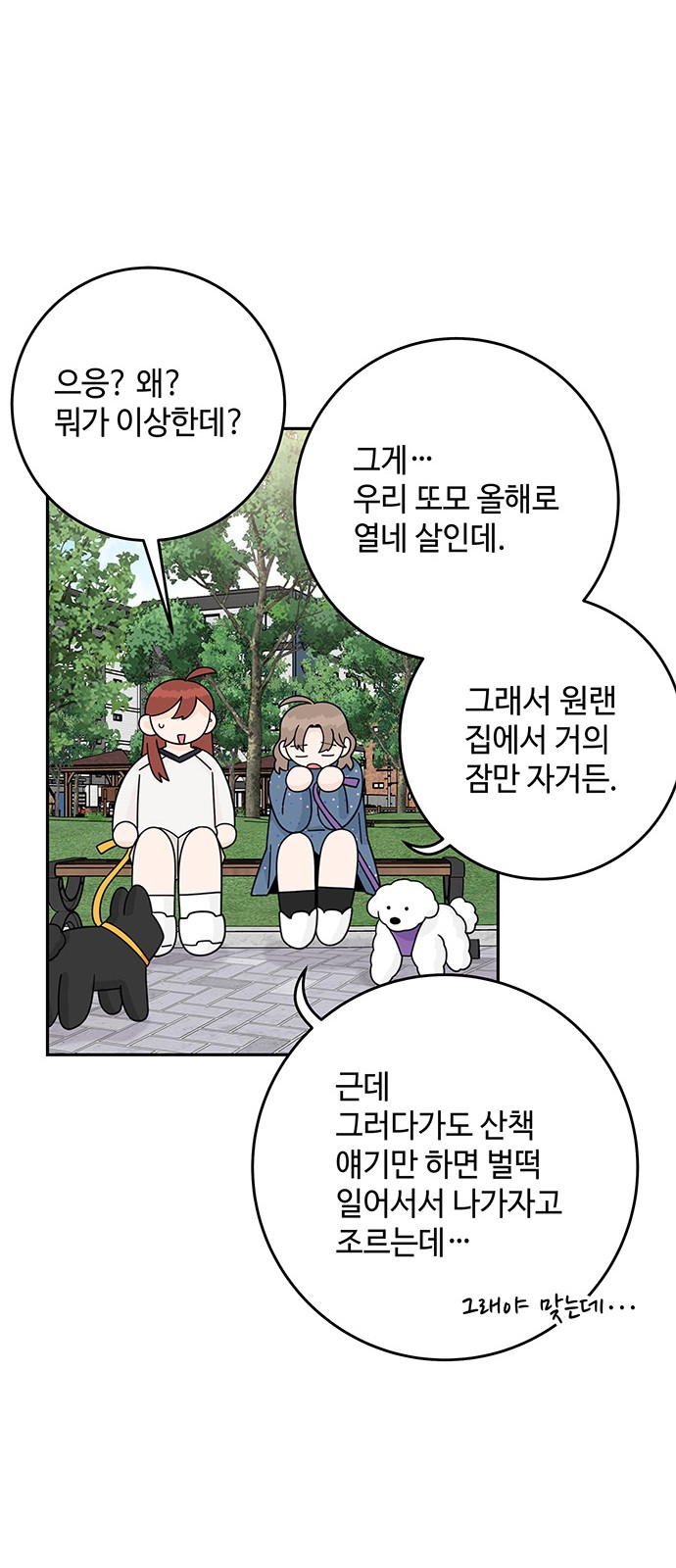 30 페이지