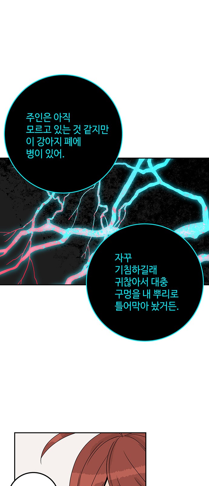 43 페이지