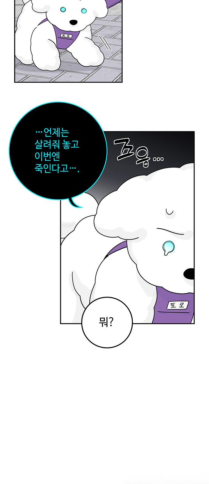 49 페이지