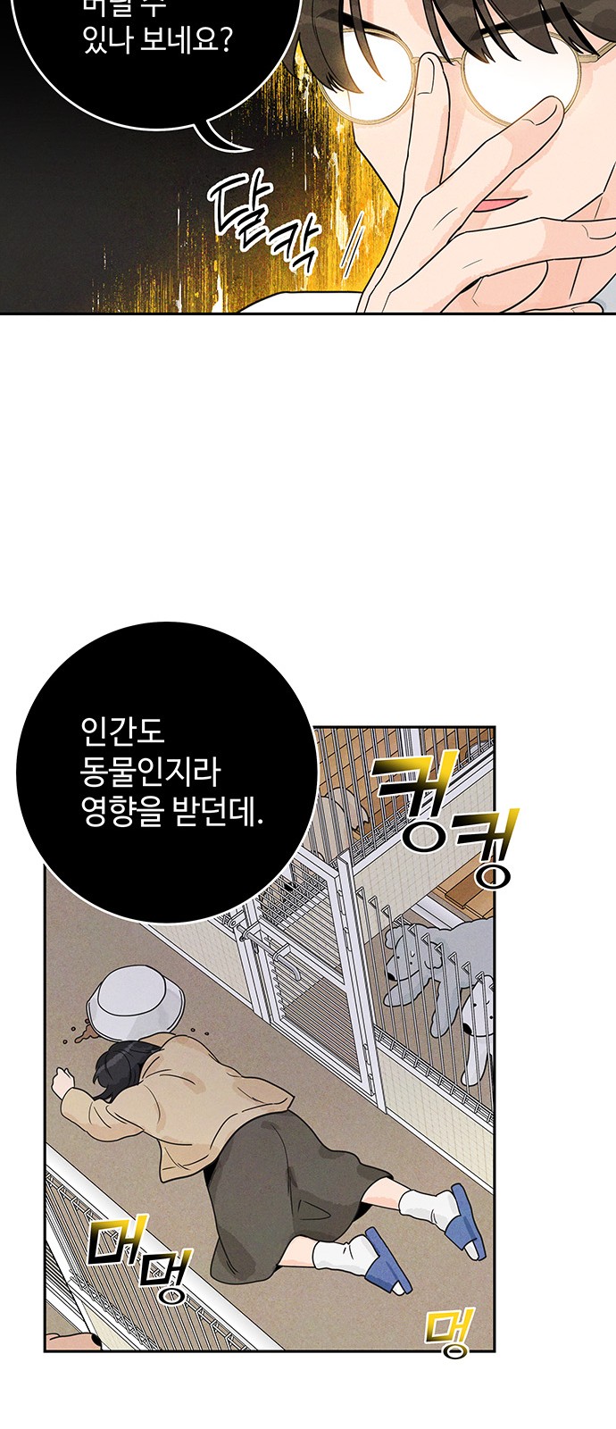 33 페이지