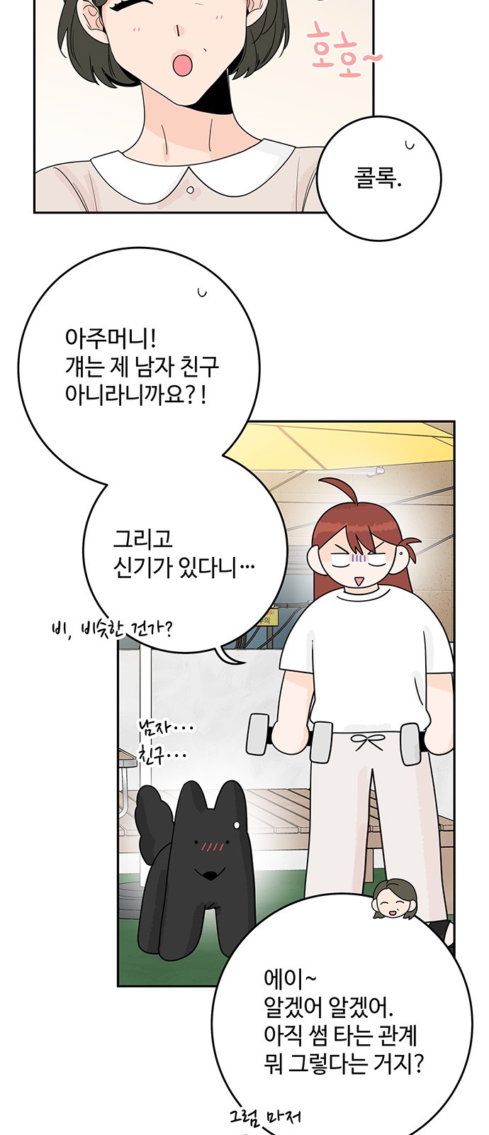 46 페이지