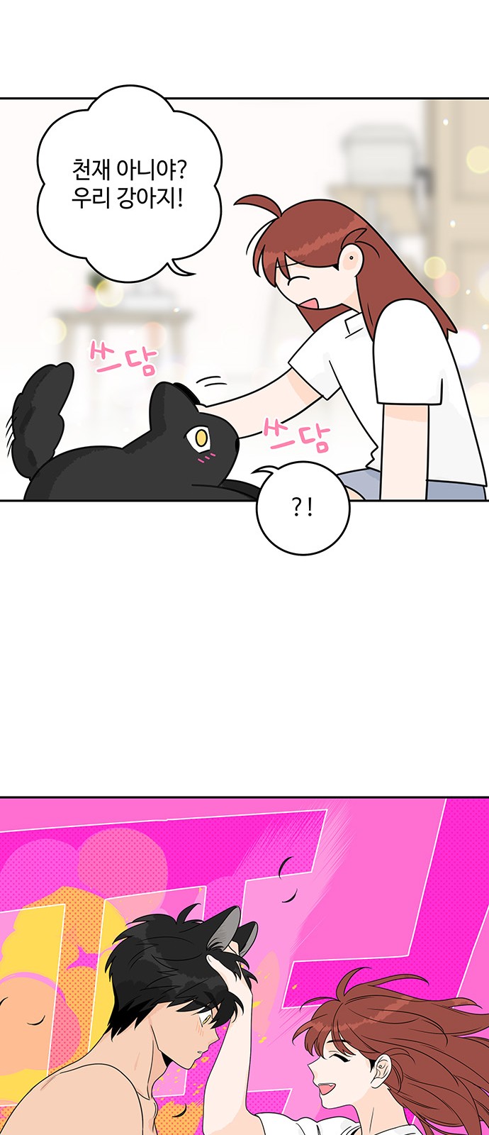 14 페이지