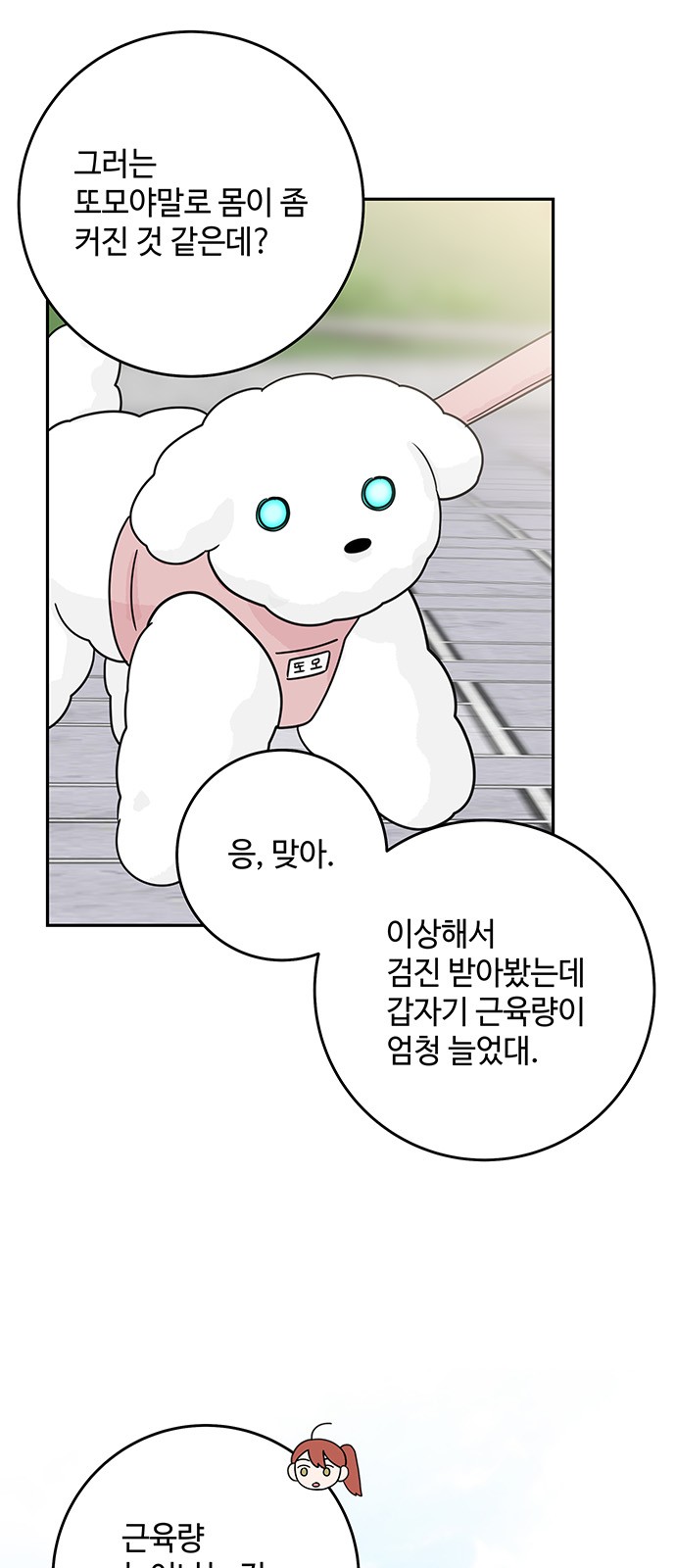 46 페이지