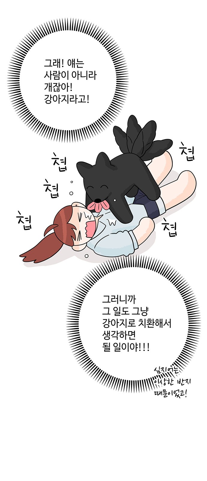 45 페이지