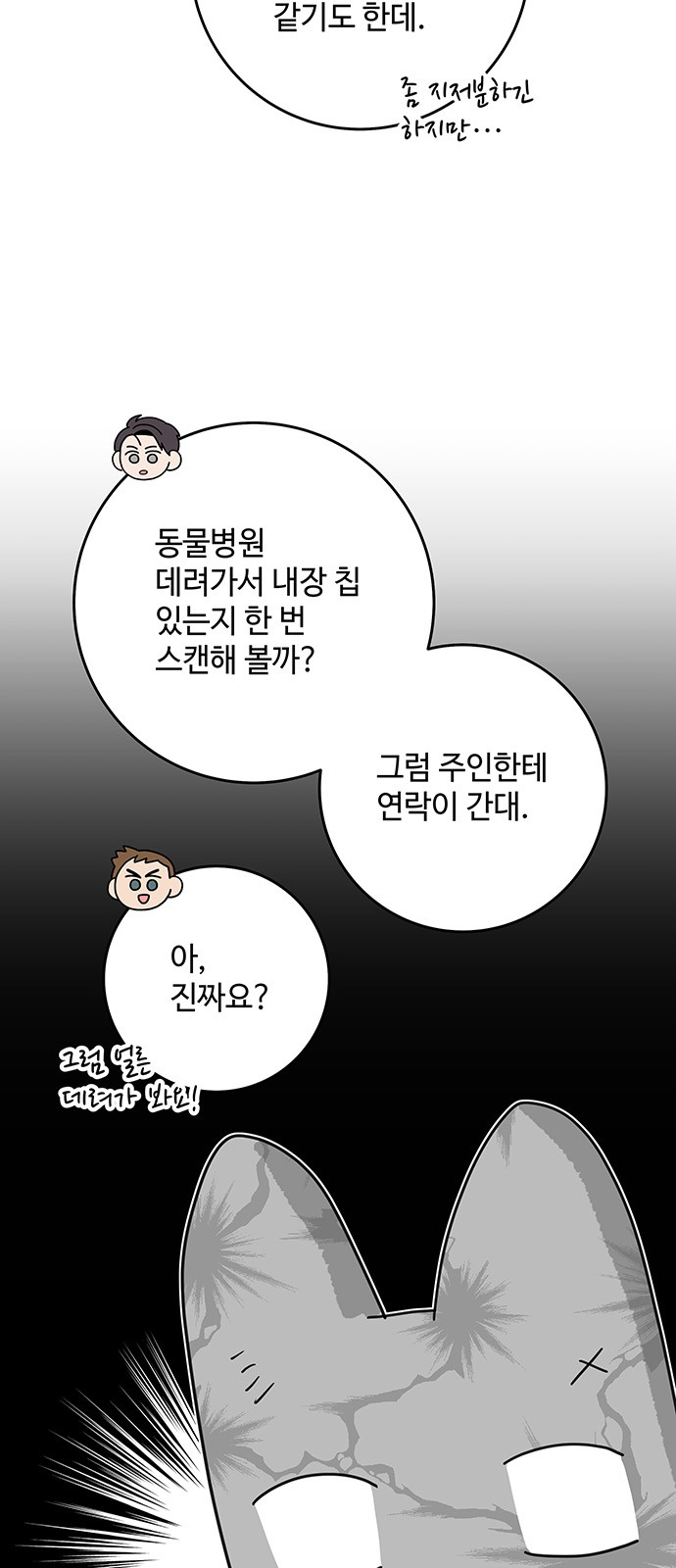35 페이지