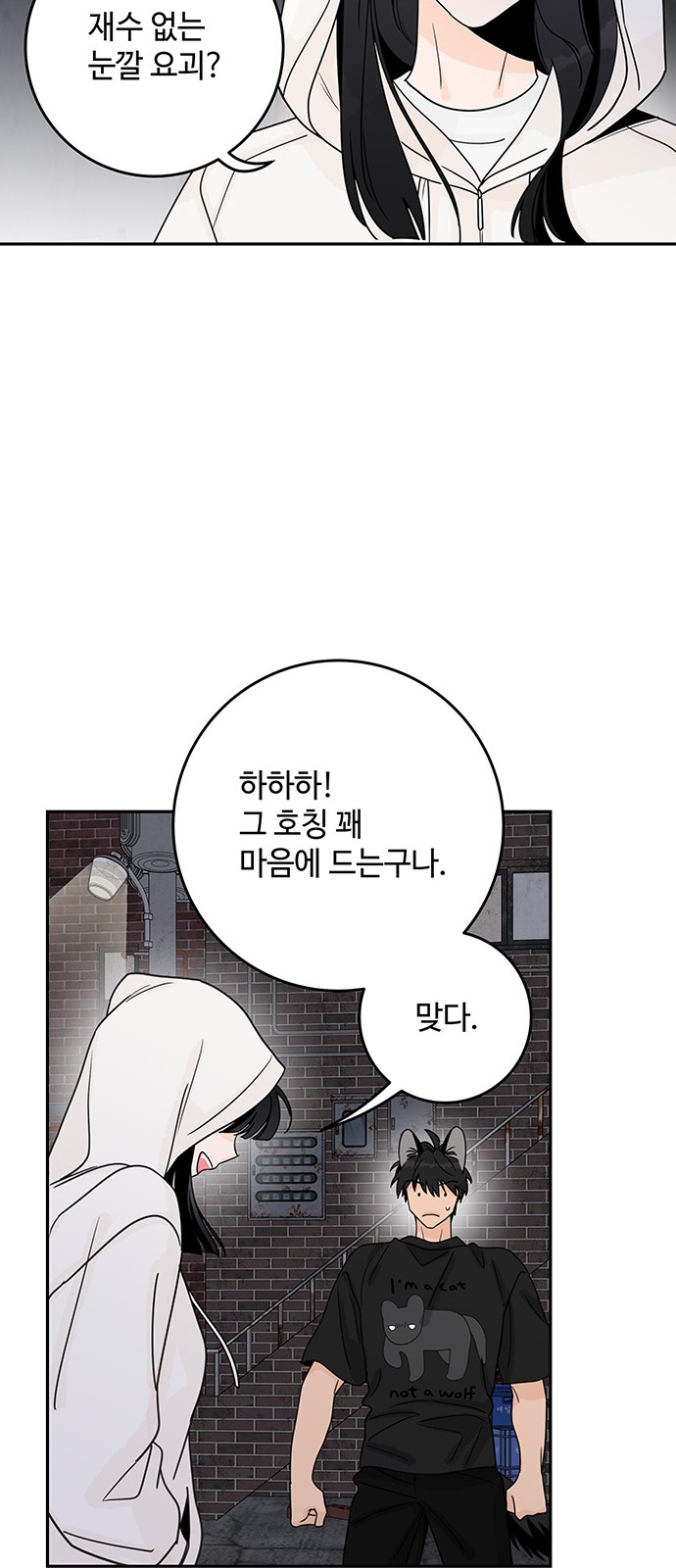 46 페이지