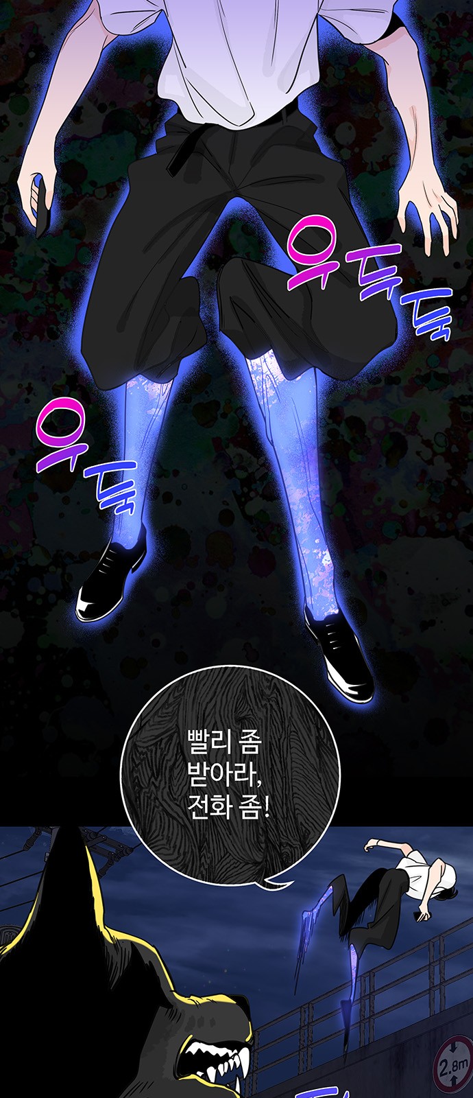 14 페이지