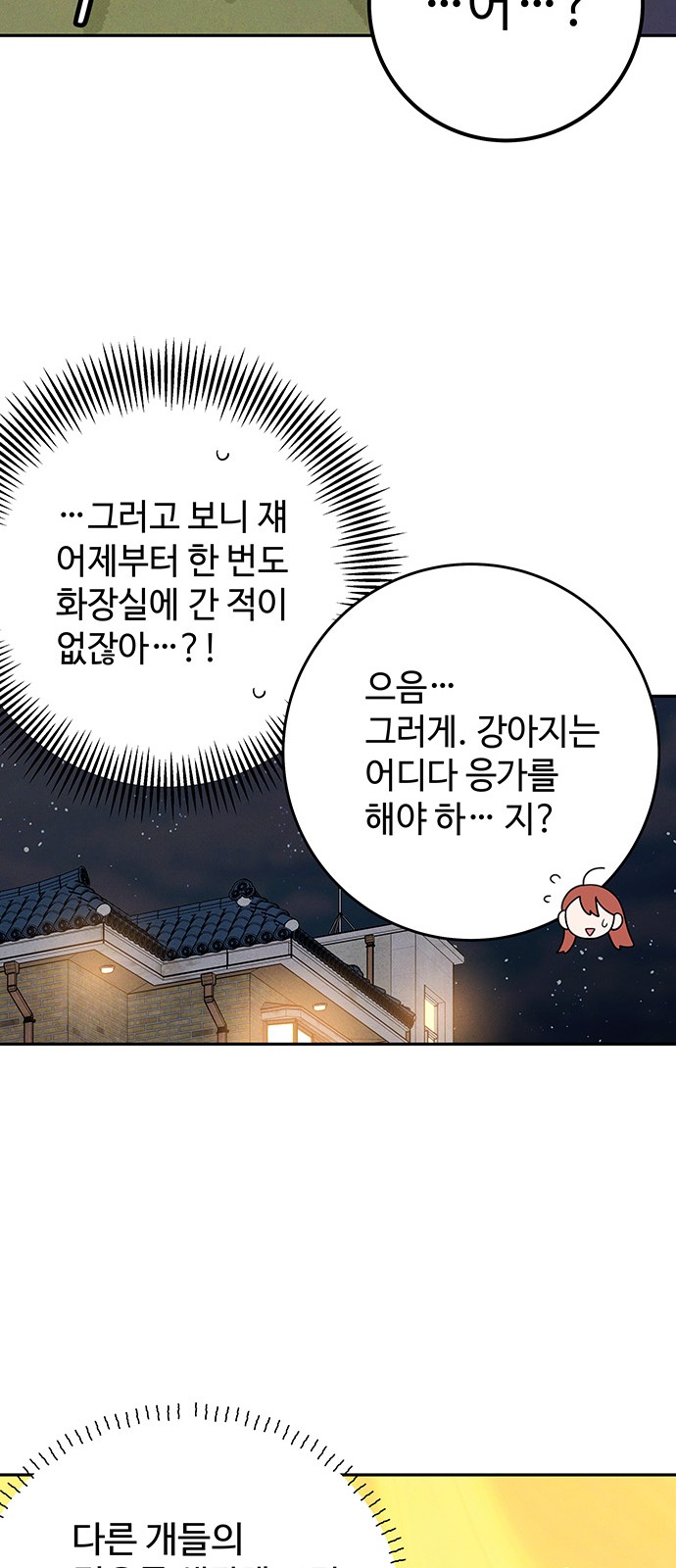 11 페이지