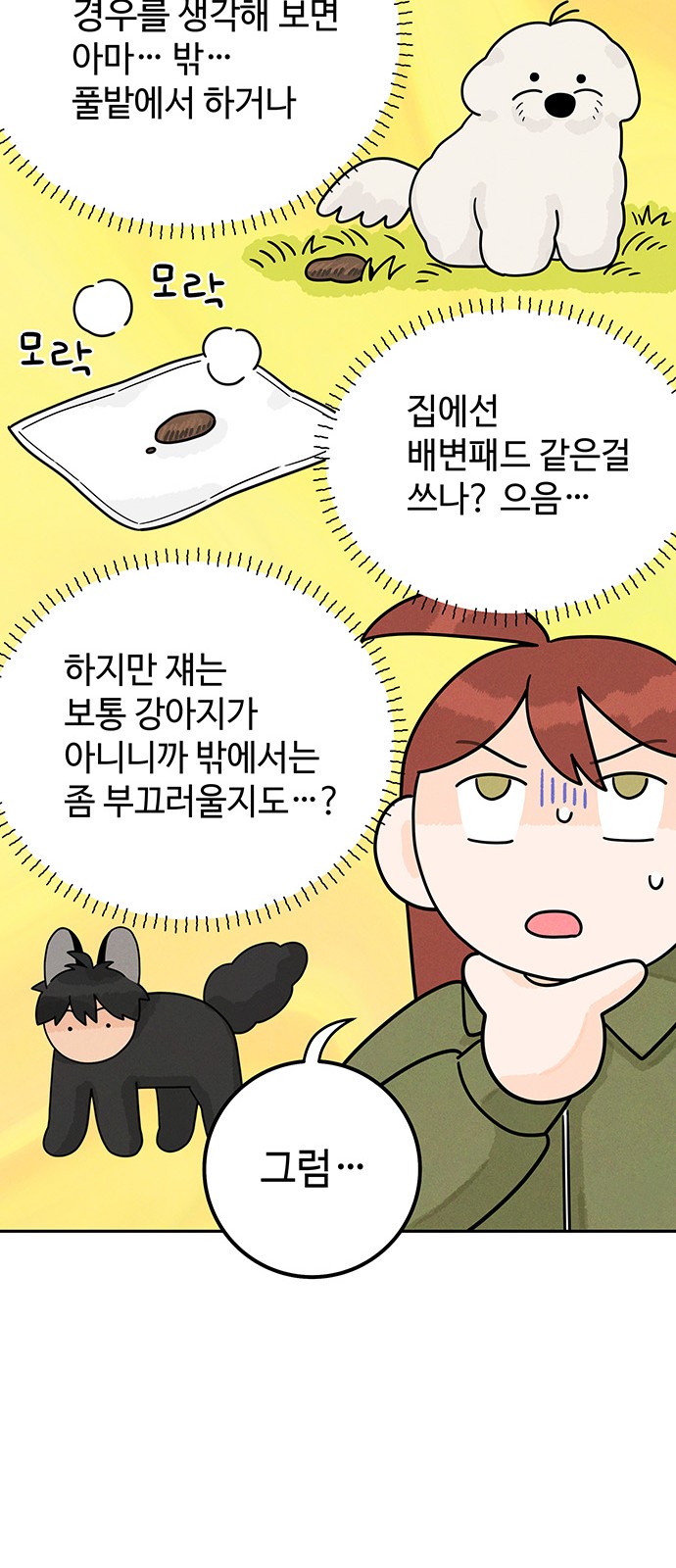 12 페이지