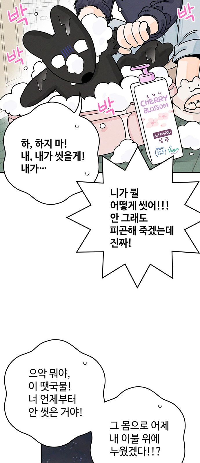 21 페이지