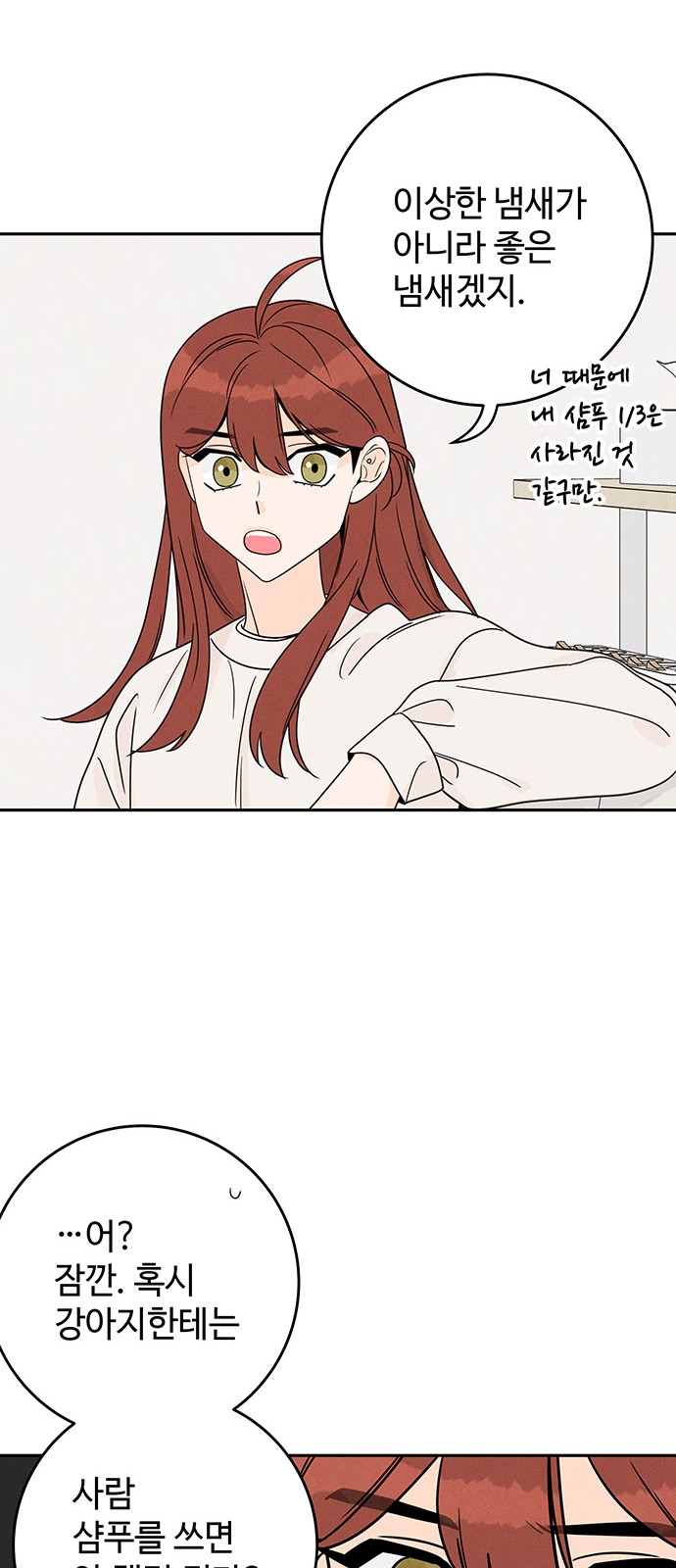 42 페이지