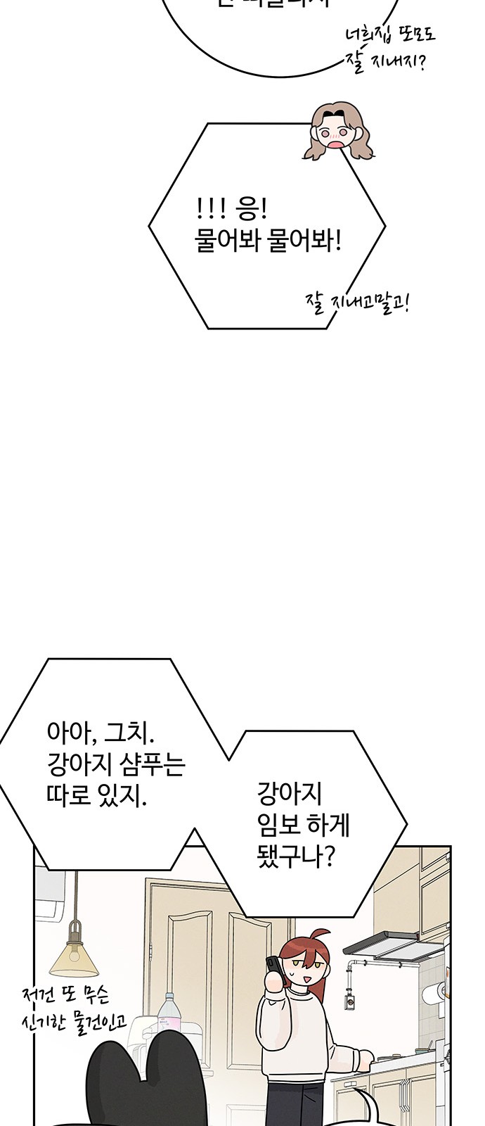48 페이지