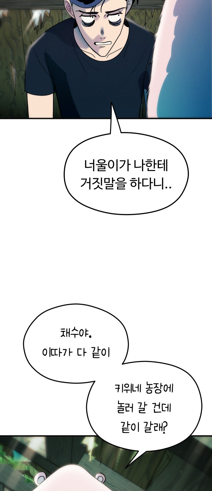 13 페이지