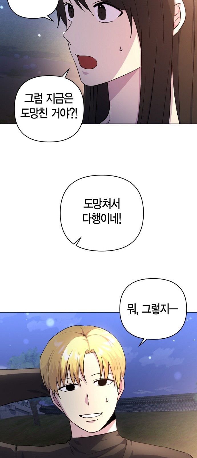 29 페이지