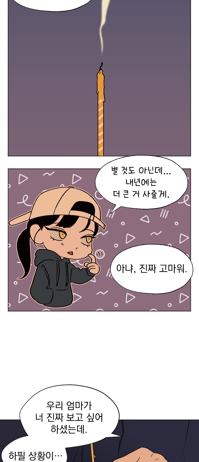 30 페이지