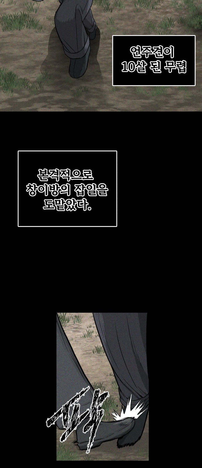 56 페이지