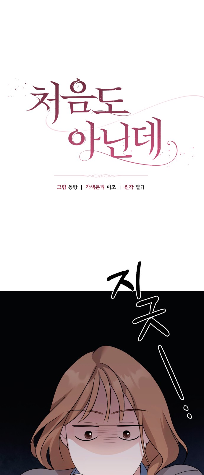 30 페이지