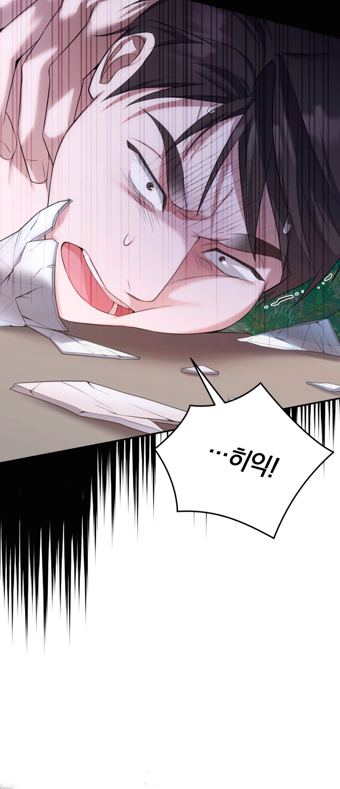 20 페이지