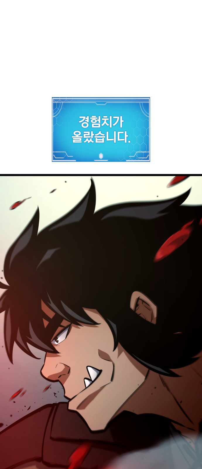 46 페이지