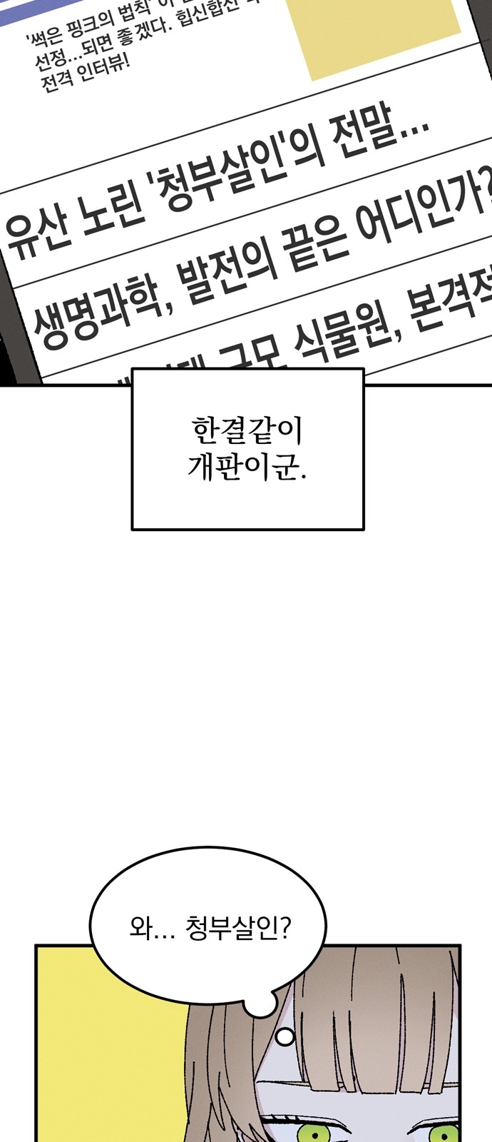 33 페이지