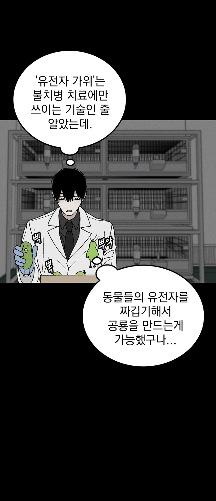 20 페이지