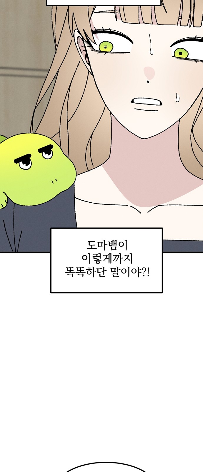 69 페이지