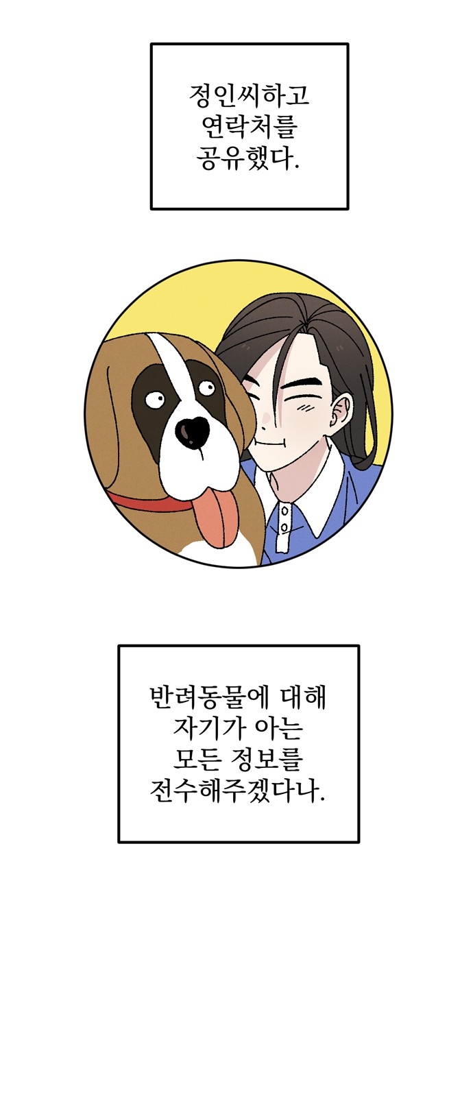 40 페이지