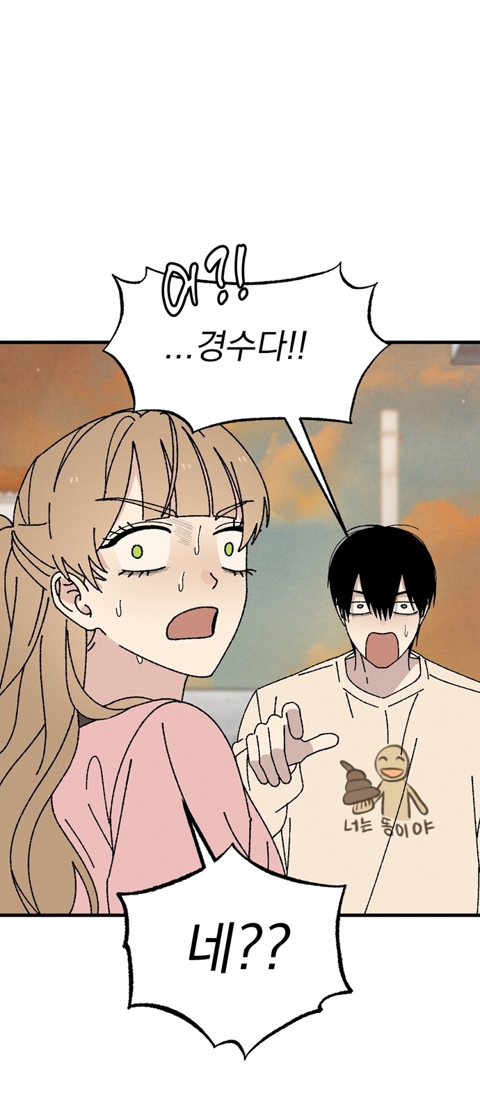 46 페이지