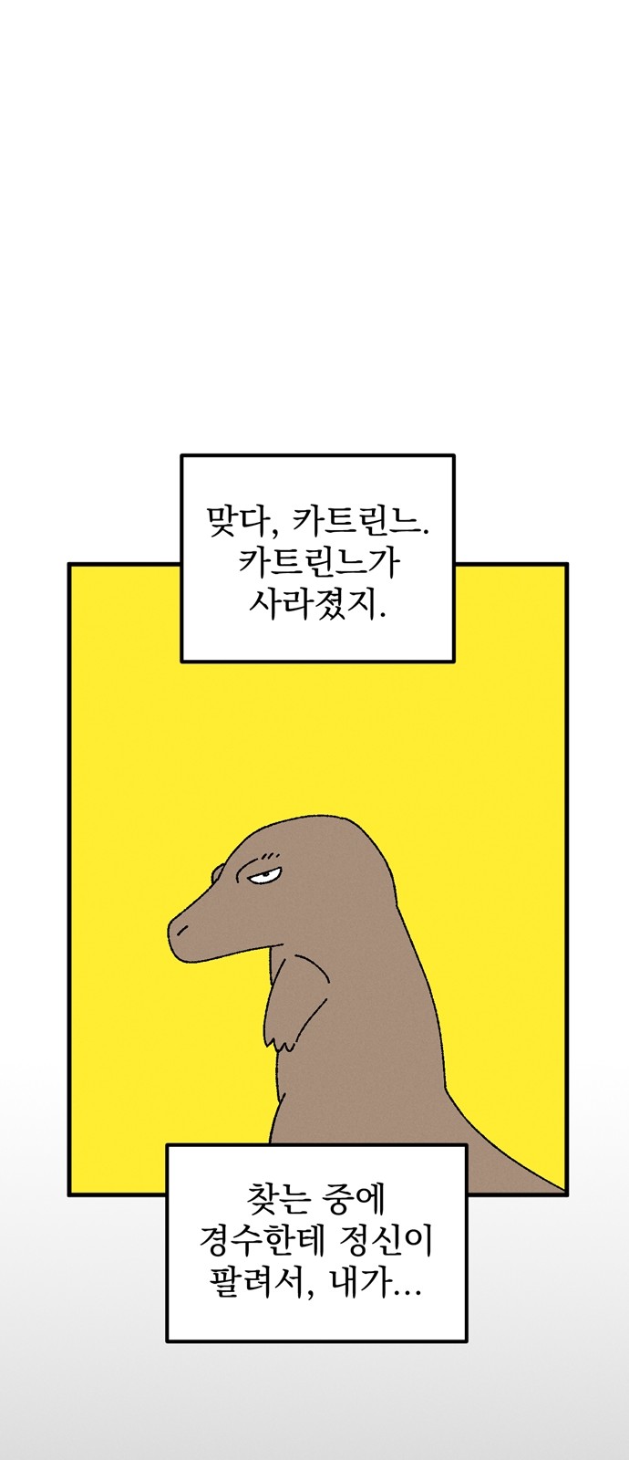 43 페이지