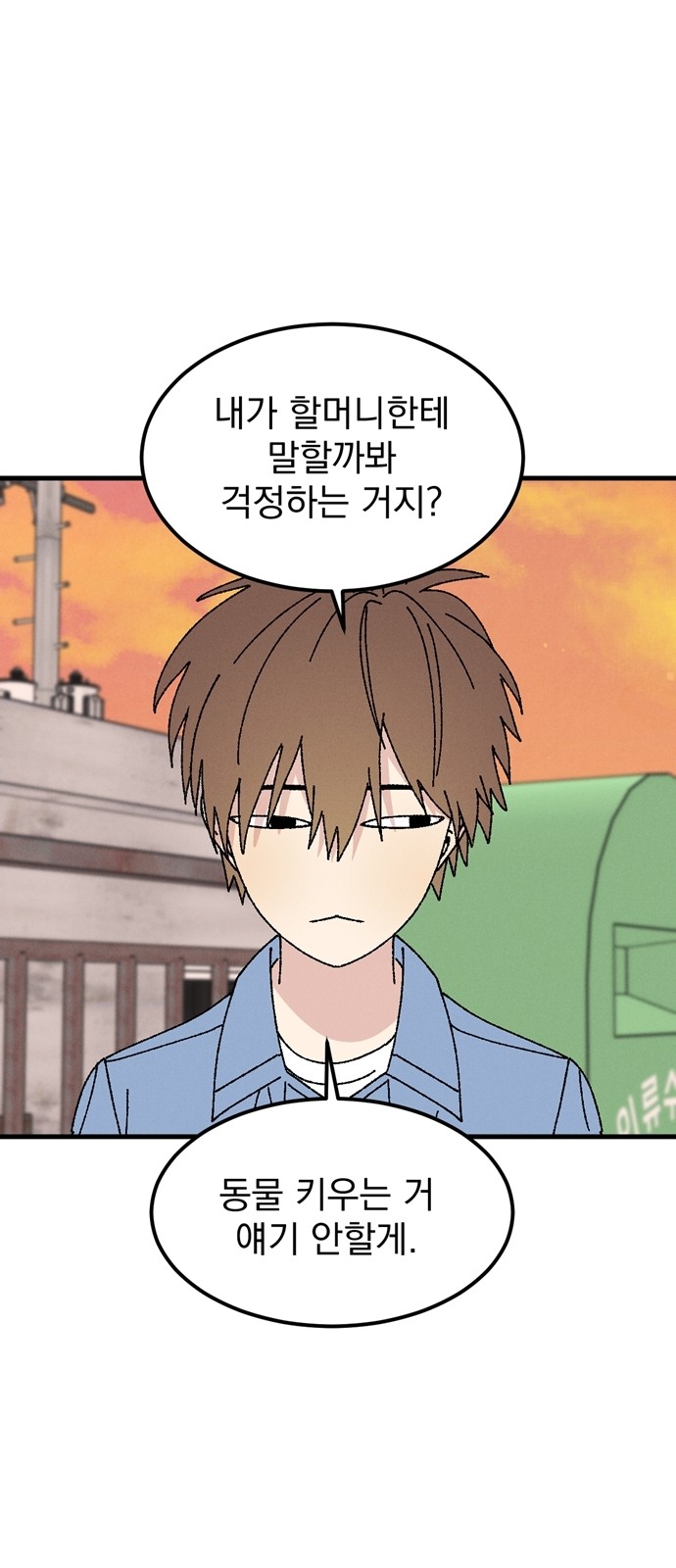 46 페이지