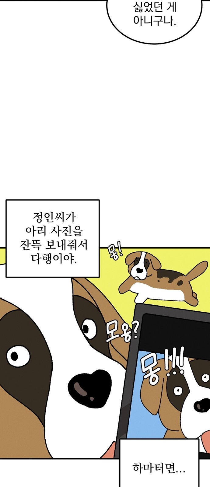 17 페이지