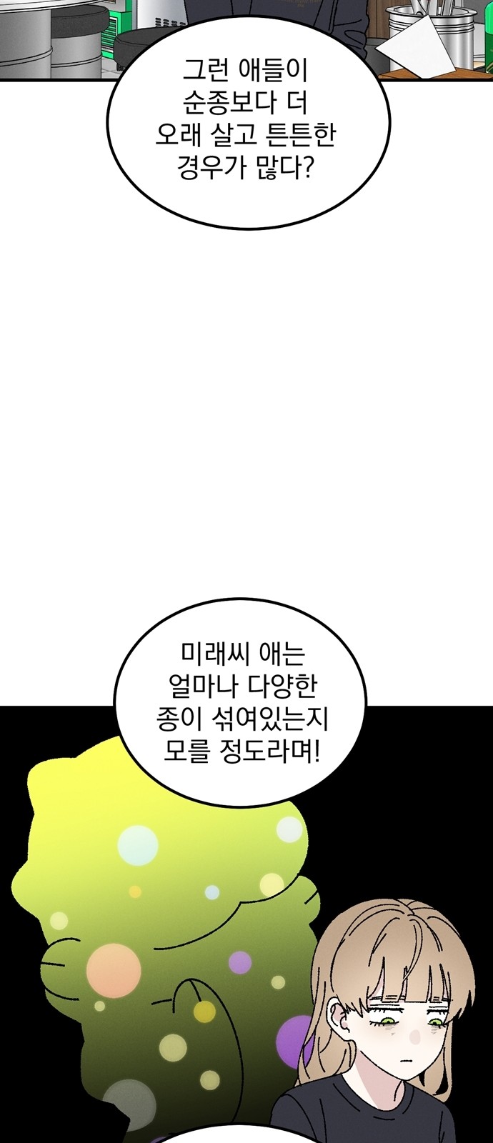 43 페이지