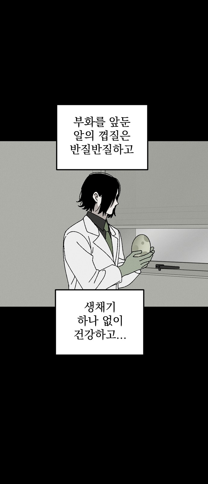 52 페이지