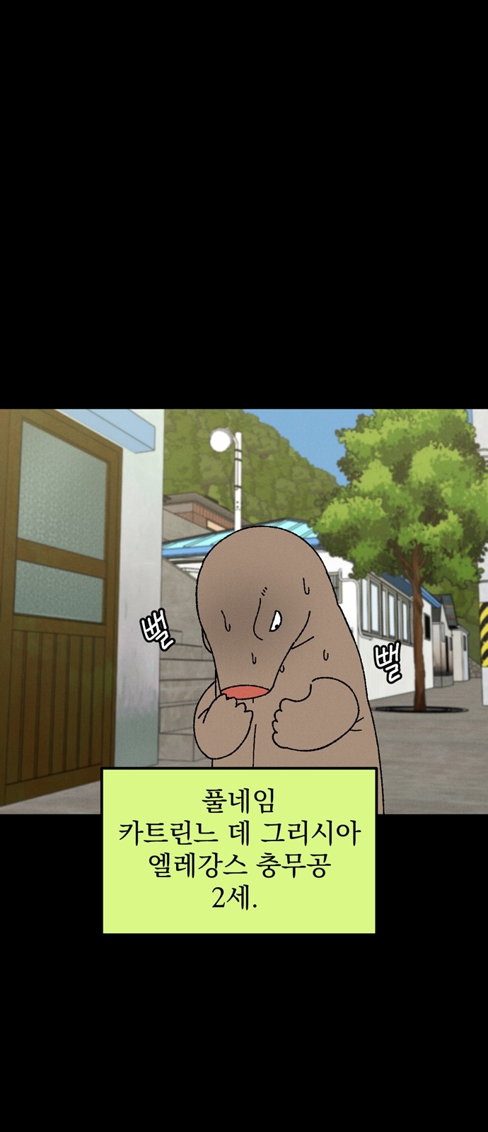 5 페이지