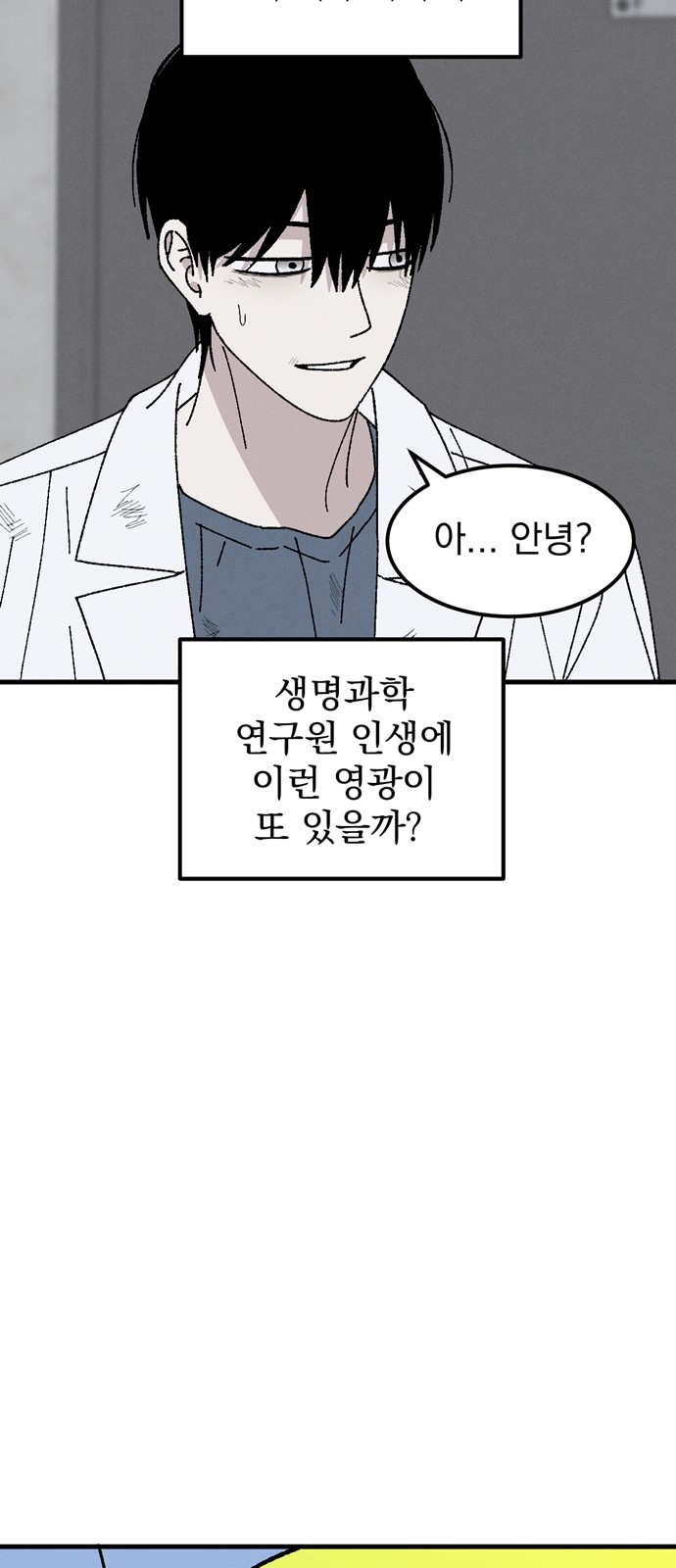 50 페이지