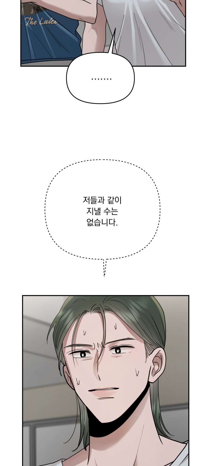 46 페이지