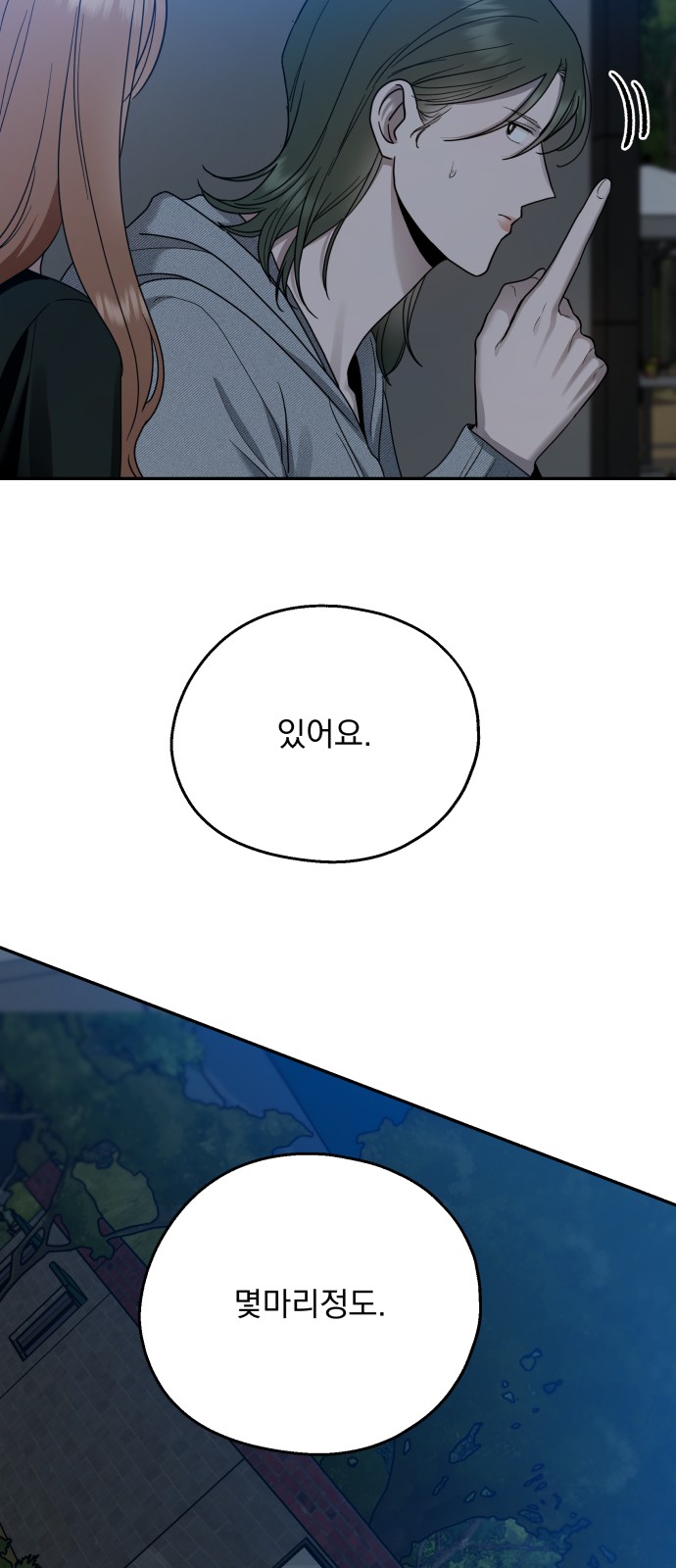 77 페이지
