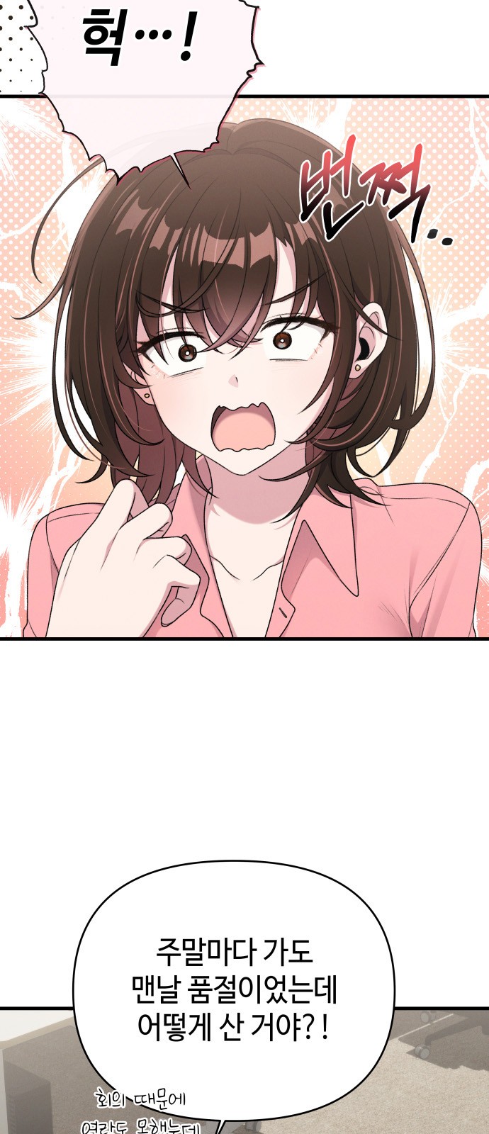 51 페이지