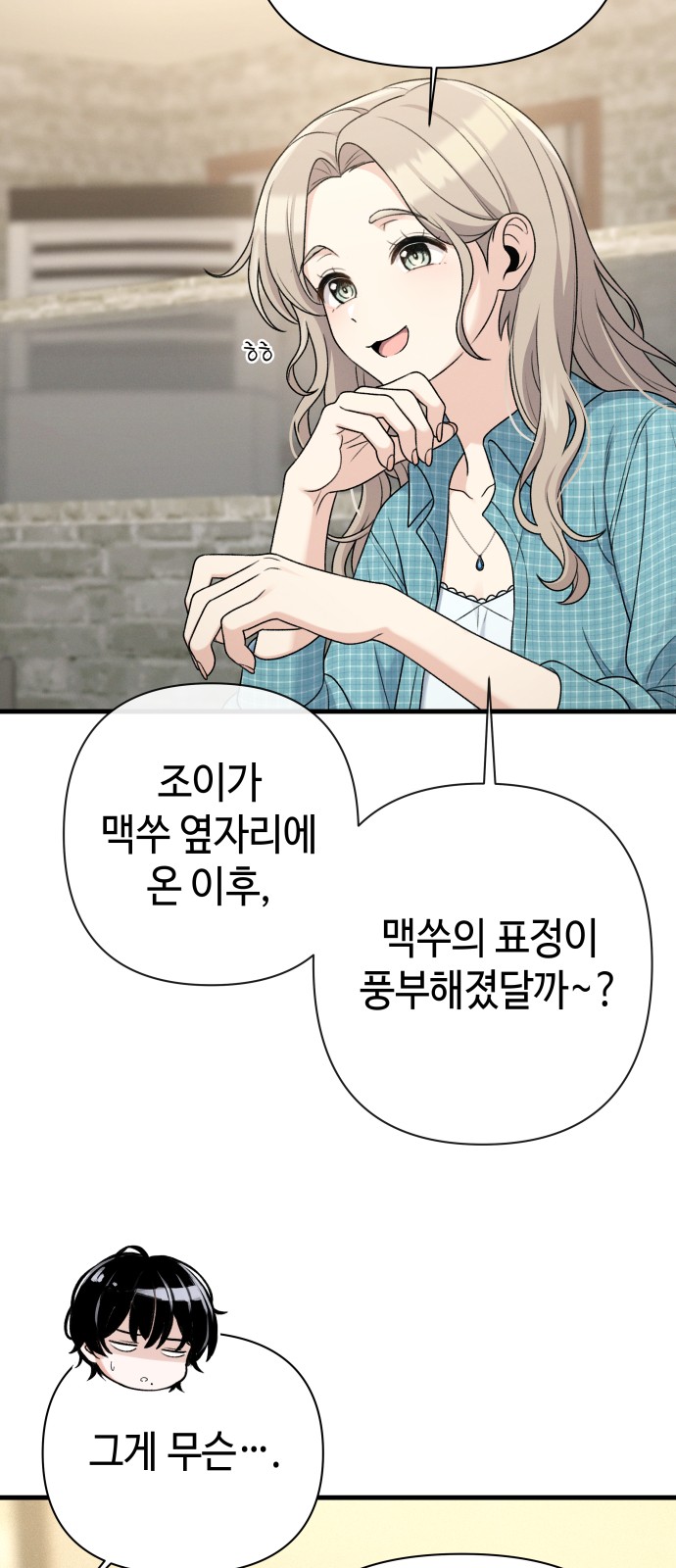 20 페이지