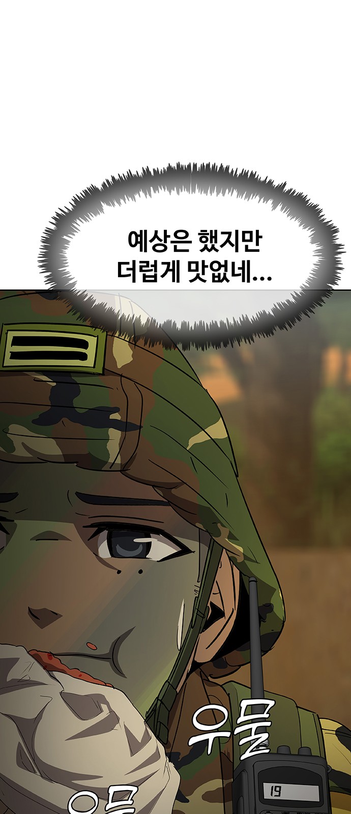 68 페이지