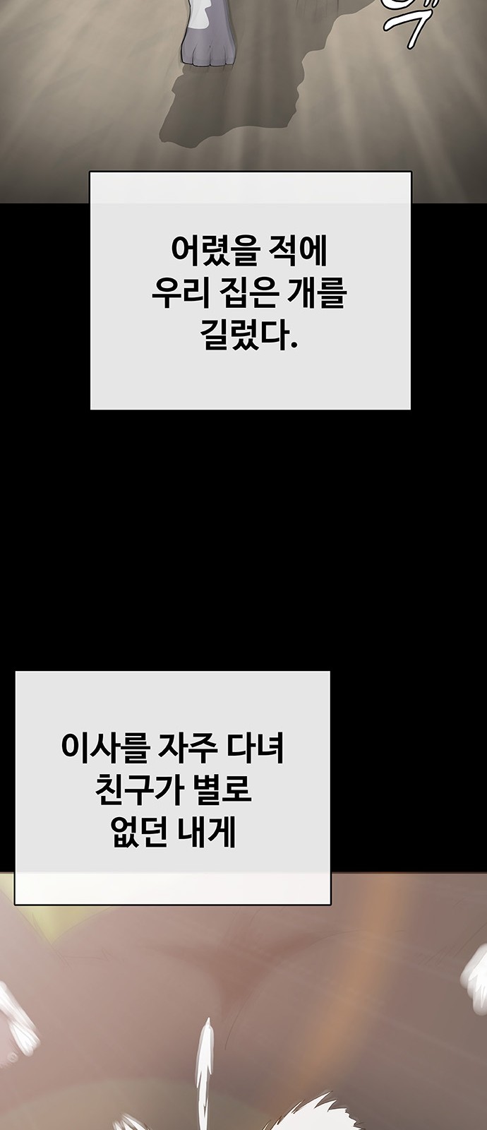 46 페이지