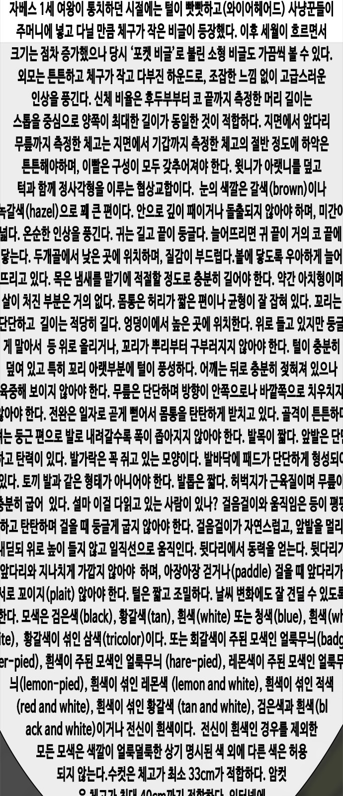 93 페이지