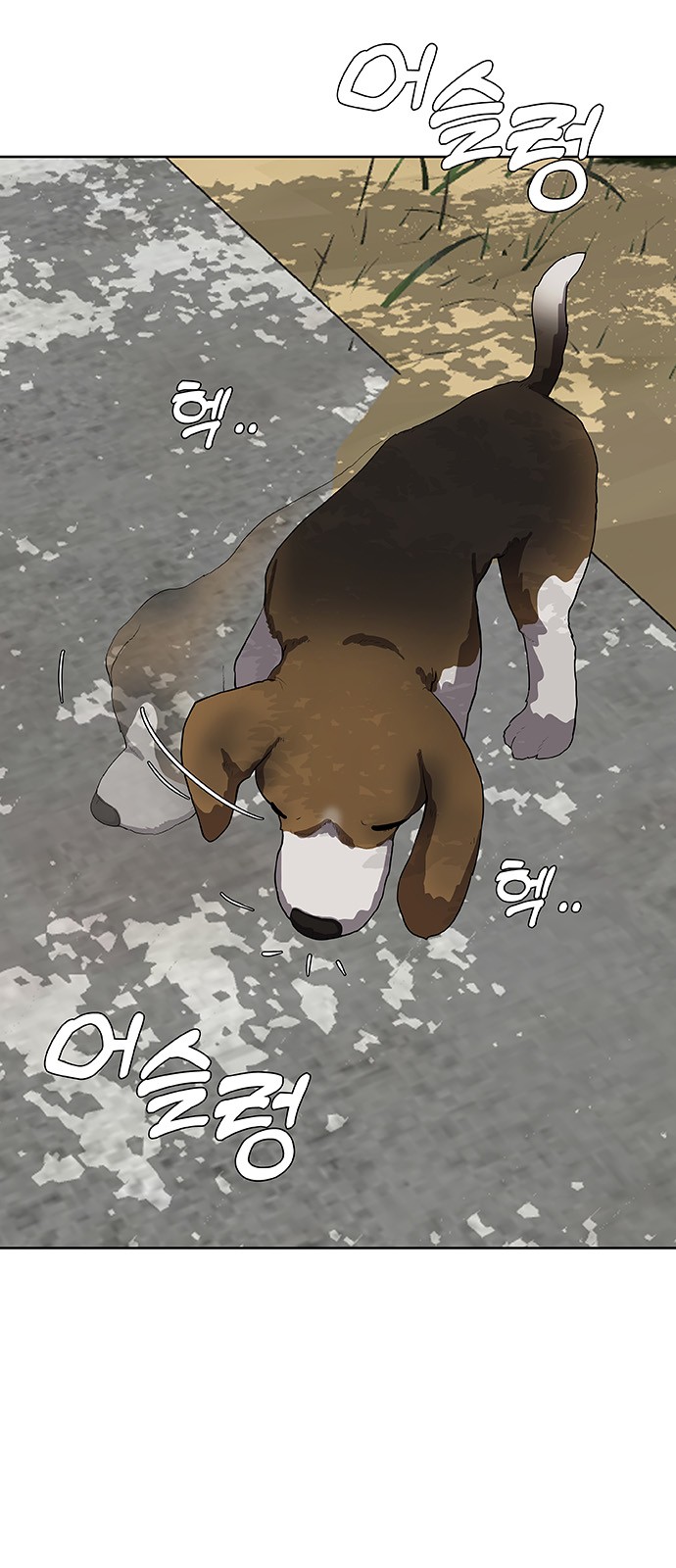 5 페이지