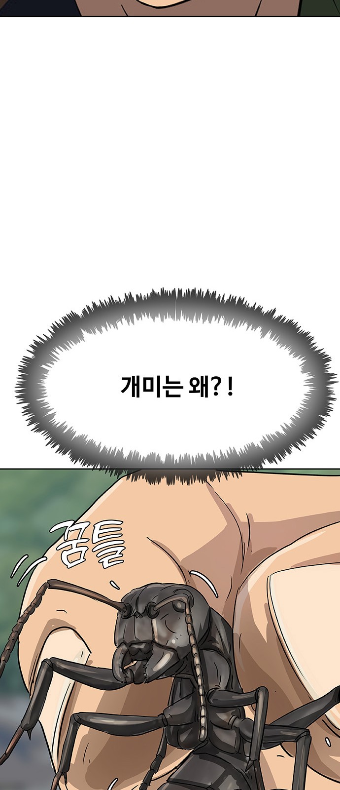 117 페이지