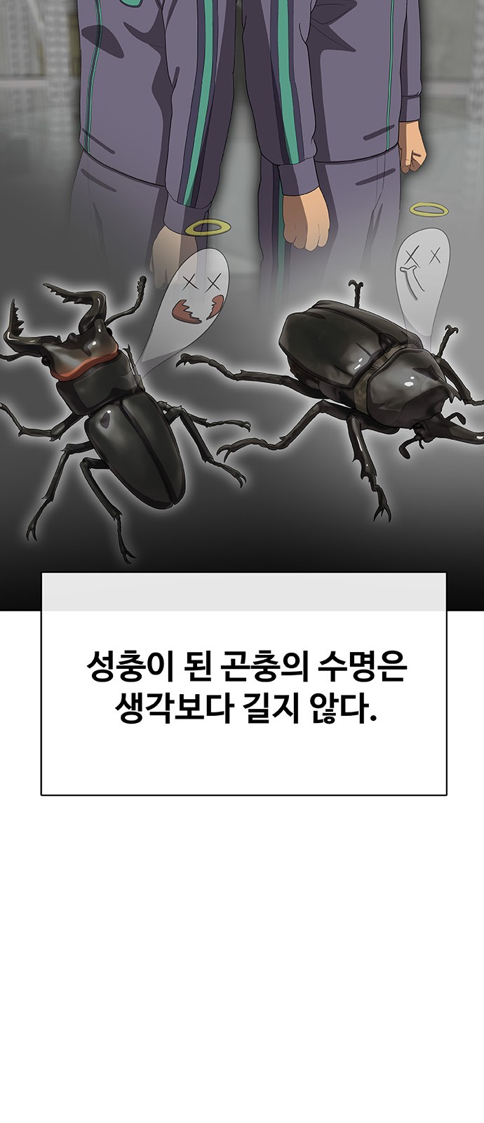 71 페이지