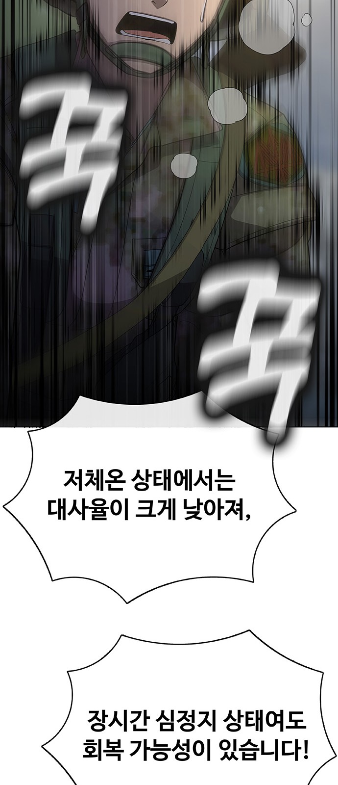116 페이지
