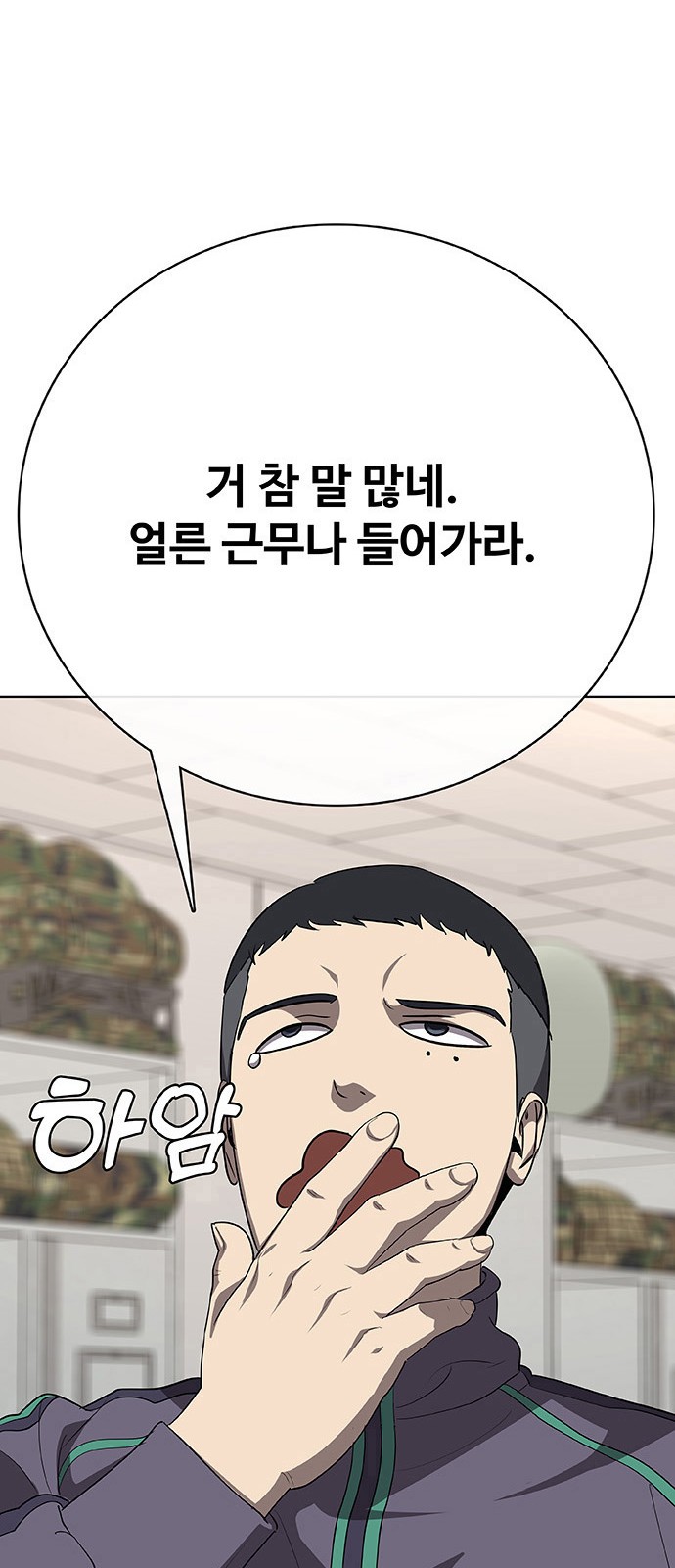 137 페이지